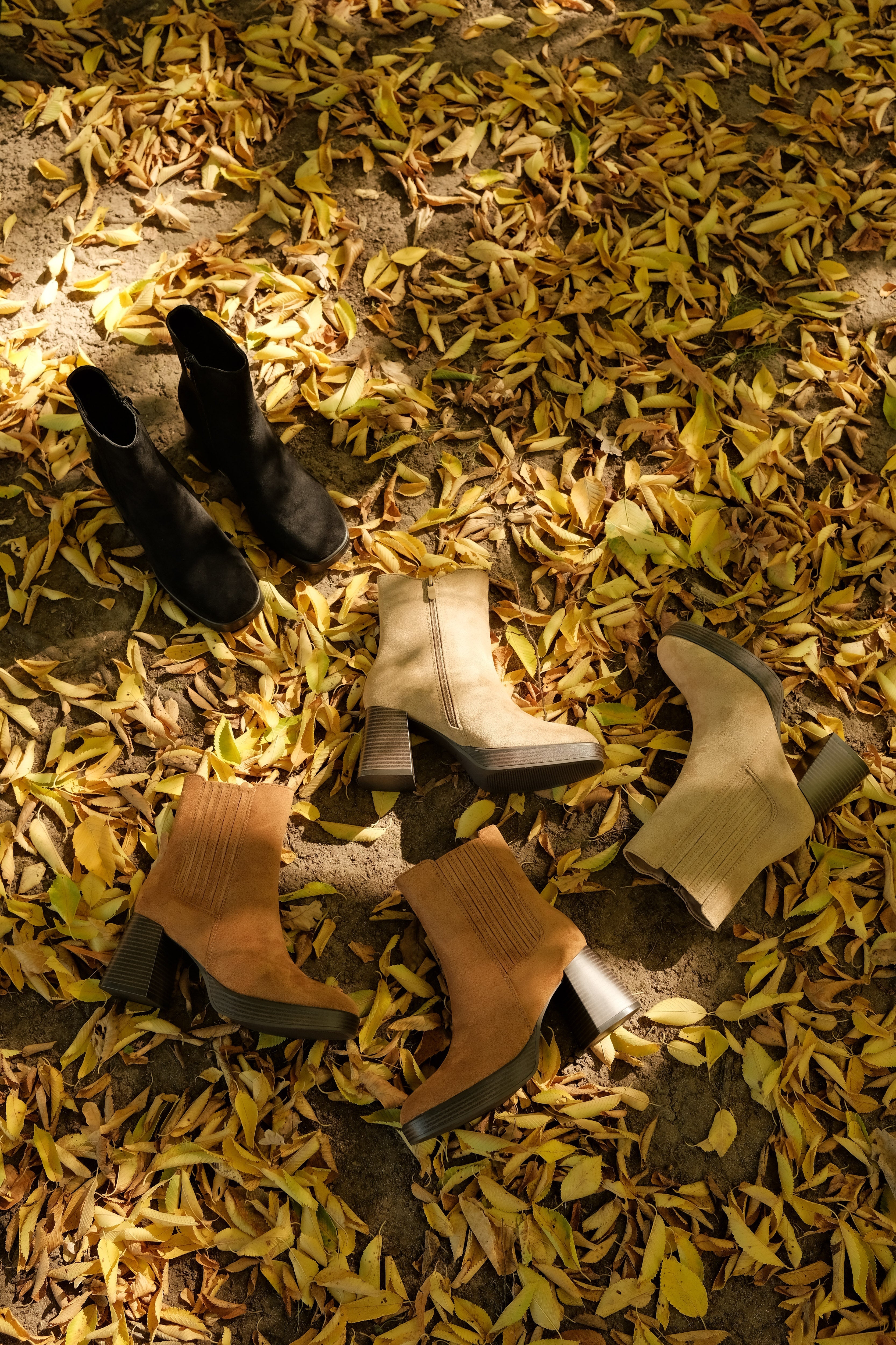 Bottines
