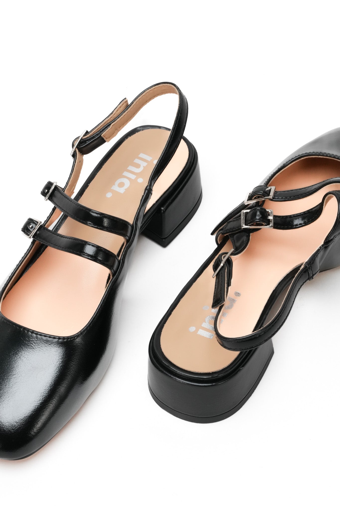 DAHLIA Babies - Black